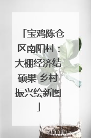 宝鸡陈仓区南阳村：大棚经济结硕果 乡村振兴绘新图