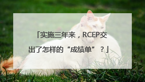 实施三年来，RCEP交出了怎样的“成绩单”？