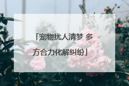 宠物扰人清梦 多方合力化解纠纷