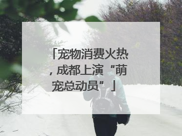 宠物消费火热，成都上演“萌宠总动员”