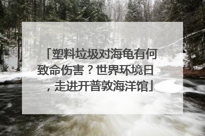 塑料垃圾对海龟有何致命伤害？世界环境日，走进开普敦海洋馆