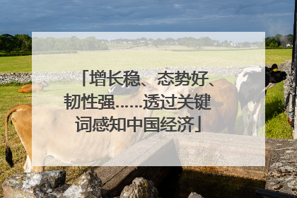 增长稳、态势好、韧性强……透过关键词感知中国经济