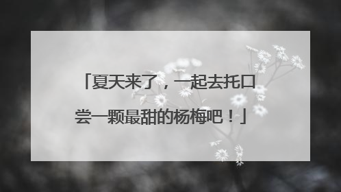 夏天来了，一起去托口尝一颗最甜的杨梅吧！