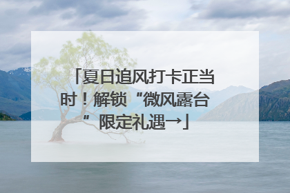 夏日追风打卡正当时！解锁“微风露台”限定礼遇→