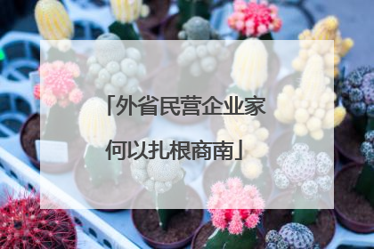 外省民营企业家何以扎根商南