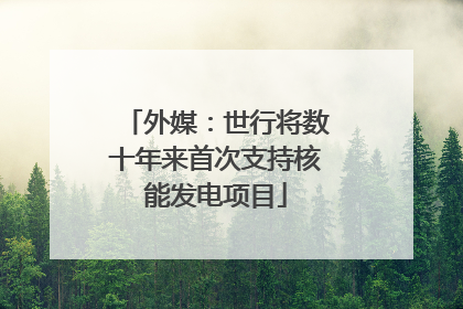 外媒：世行将数十年来首次支持核能发电项目