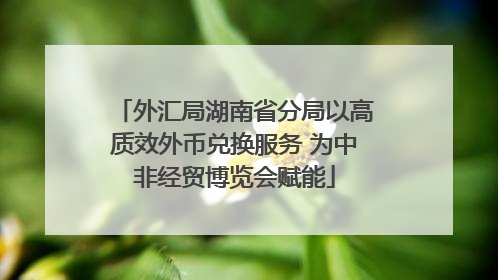 外汇局湖南省分局以高质效外币兑换服务 为中非经贸博览会赋能