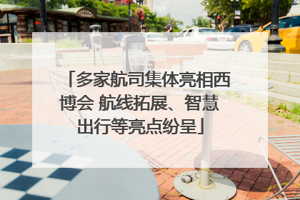 多家航司集体亮相西博会 航线拓展、智慧出行等亮点纷呈
