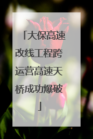 大保高速改线工程跨运营高速天桥成功爆破