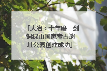 大冶：十年磨一剑 铜绿山国家考古遗址公园创建成功