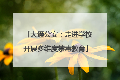 大通公安：走进学校开展多维度禁毒教育