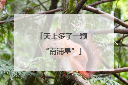 天上多了一颗“南浦星”