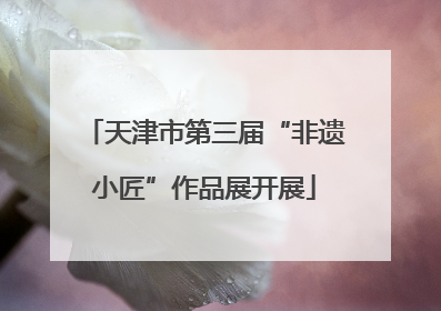 天津市第三届“非遗小匠”作品展开展