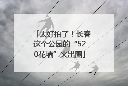 太好拍了！长春这个公园的“520花墙”火出圈