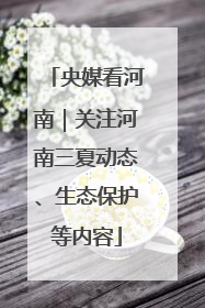央媒看河南｜关注河南三夏动态、生态保护等内容