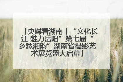 央媒看湖南丨“文化长江 魅力岳阳”第七届“乡愁湘韵”湖南省摄影艺术展览盛大启幕