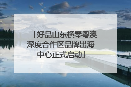好品山东横琴粤澳深度合作区品牌出海中心正式启动