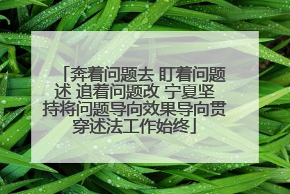 奔着问题去 盯着问题述 追着问题改 宁夏坚持将问题导向效果导向贯穿述法工作始终