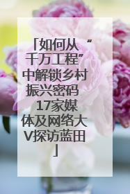 如何从“千万工程”中解锁乡村振兴密码  17家媒体及网络大V探访蓝田