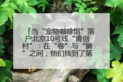 当“宠物咖啡馆”落户北京10号线“青创村”：在“卷”与“躺”之间，他们找到了第三种生活公式