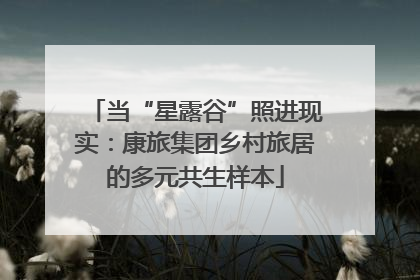 当“星露谷”照进现实：康旅集团乡村旅居的多元共生样本