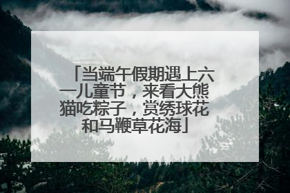 当端午假期遇上六一儿童节，来看大熊猫吃粽子，赏绣球花和马鞭草花海
