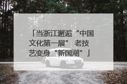 当浙江邂逅“中国文化第一展” 老技艺变身“新国潮”