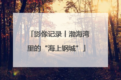 影像记录丨渤海湾里的“海上钢城”