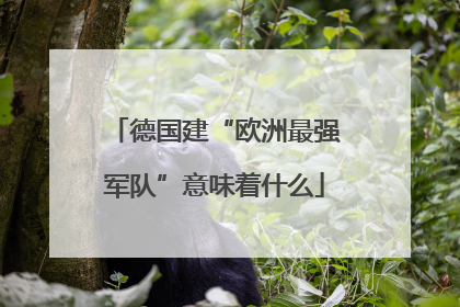 德国建“欧洲最强军队”意味着什么
