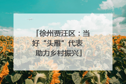 徐州贾汪区：当好“头雁”代表 助力乡村振兴