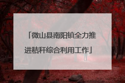微山县南阳镇全力推进秸秆综合利用工作