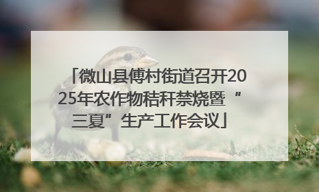 微山县傅村街道召开2025年农作物秸秆禁烧暨“三夏”生产工作会议