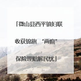 微山县西平镇妇联收获锦旗 “两癌”保险理赔解民忧