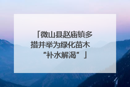 微山县赵庙镇多措并举为绿化苗木“补水解渴”