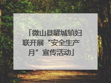 微山县驩城镇妇联开展“安全生产月”宣传活动