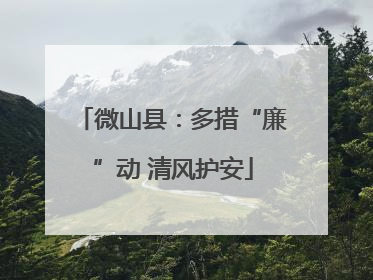 微山县：多措“廉”动 清风护安