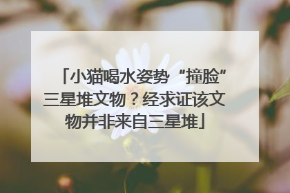 小猫喝水姿势“撞脸”三星堆文物？经求证该文物并非来自三星堆