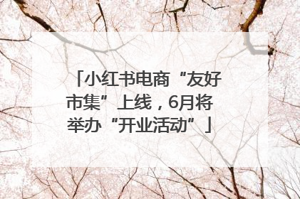 小红书电商“友好市集”上线，6月将举办“开业活动”