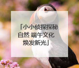 小小侦探探秘自然 端午文化焕发新光