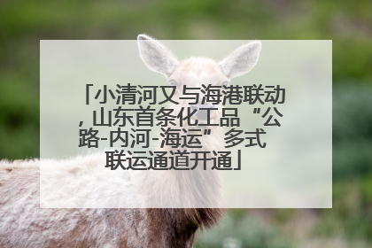 小清河又与海港联动，山东首条化工品“公路-内河-海运”多式联运通道开通