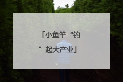 小鱼竿“钓”起大产业