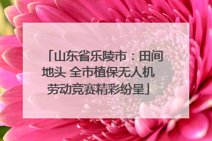 山东省乐陵市：田间地头 全市植保无人机劳动竞赛精彩纷呈