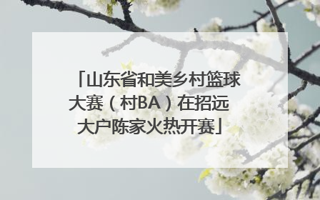 山东省和美乡村篮球大赛(村BA)在招远大户陈家火热开赛