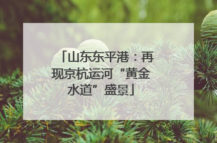 山东东平港：再现京杭运河“黄金水道”盛景