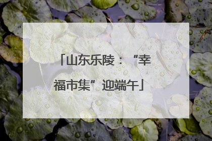 山东乐陵：“幸福市集”迎端午