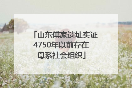 山东傅家遗址实证4750年以前存在母系社会组织