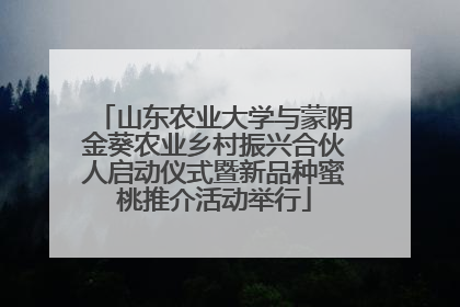 山东农业大学与蒙阴金葵农业乡村振兴合伙人启动仪式暨新品种蜜桃推介活动举行