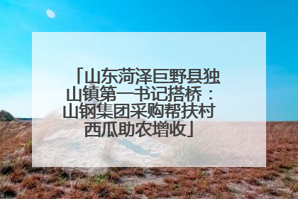 山东菏泽巨野县独山镇第一书记搭桥：山钢集团采购帮扶村西瓜助农增收