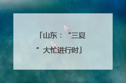 山东：“三夏”大忙进行时