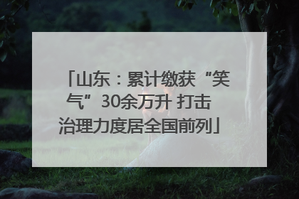 山东：累计缴获“笑气”30余万升 打击治理力度居全国前列